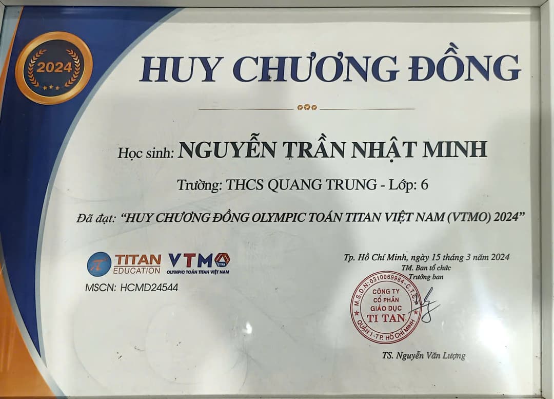 VTMO 2024 - Bronze Prize