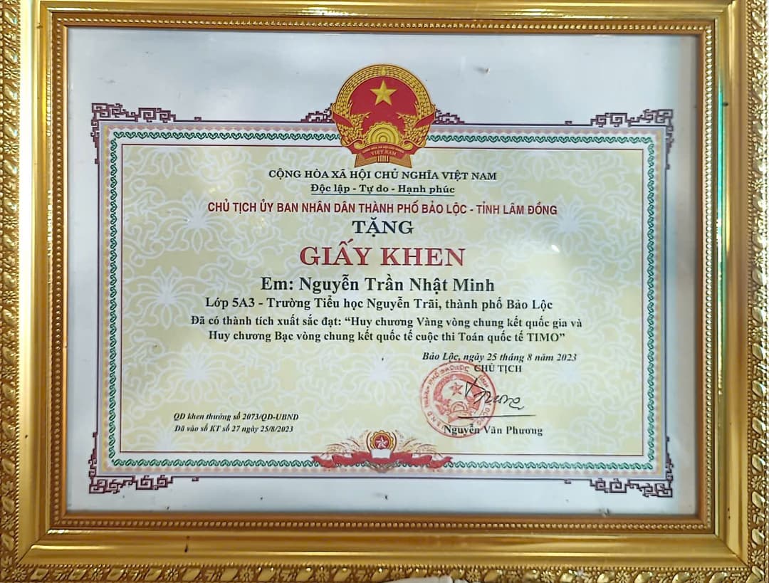 City-Level Merit (TIMO Achievement)