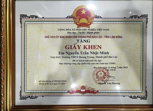 TIMO - National Gold Medal Recognition by Bao Loc City