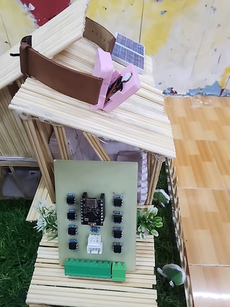 Project Development & Circuit Design