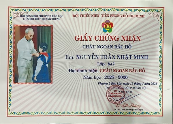 Good Nephew of Uncle Ho Certificate