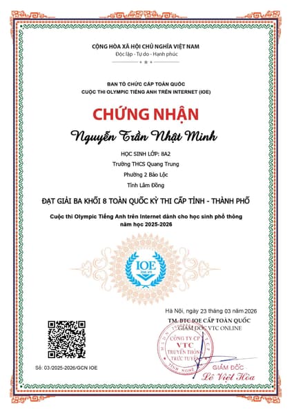 3rd Prize - National English Olympiad (Grade 8, Provincial Level)